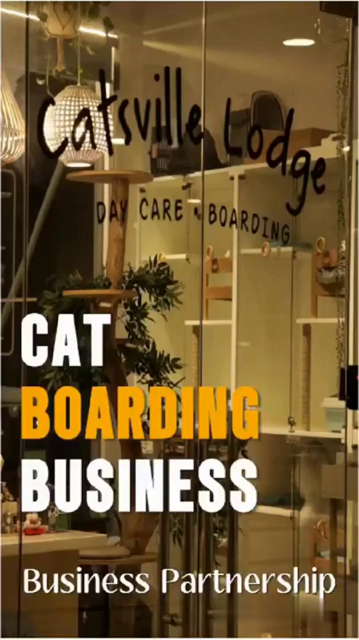 Cat Boarding Business