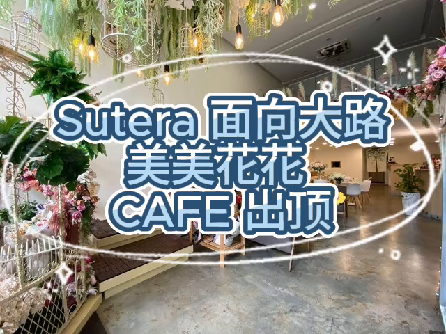 Sutera 面向大路美美花花 cafe 出顶