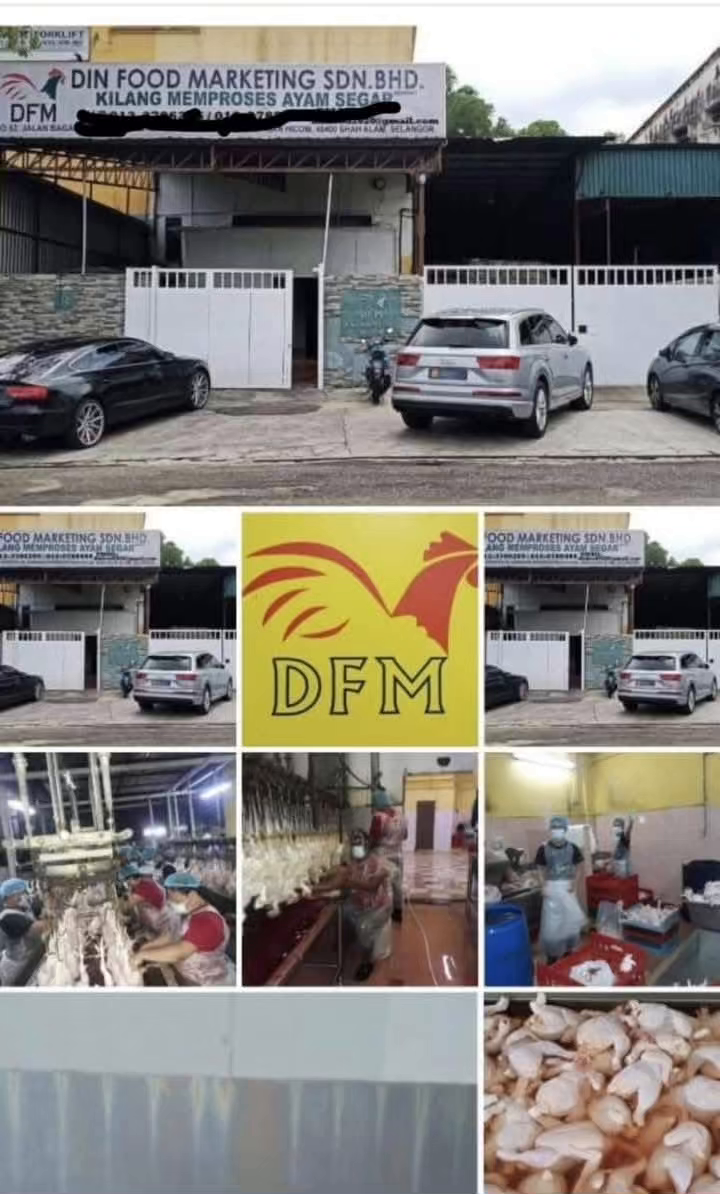 Chicken Processing Factory for Sale