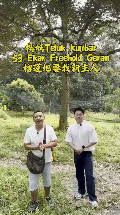 Penang Teluk Kumbar Orchard Land for sale | 果园地出售