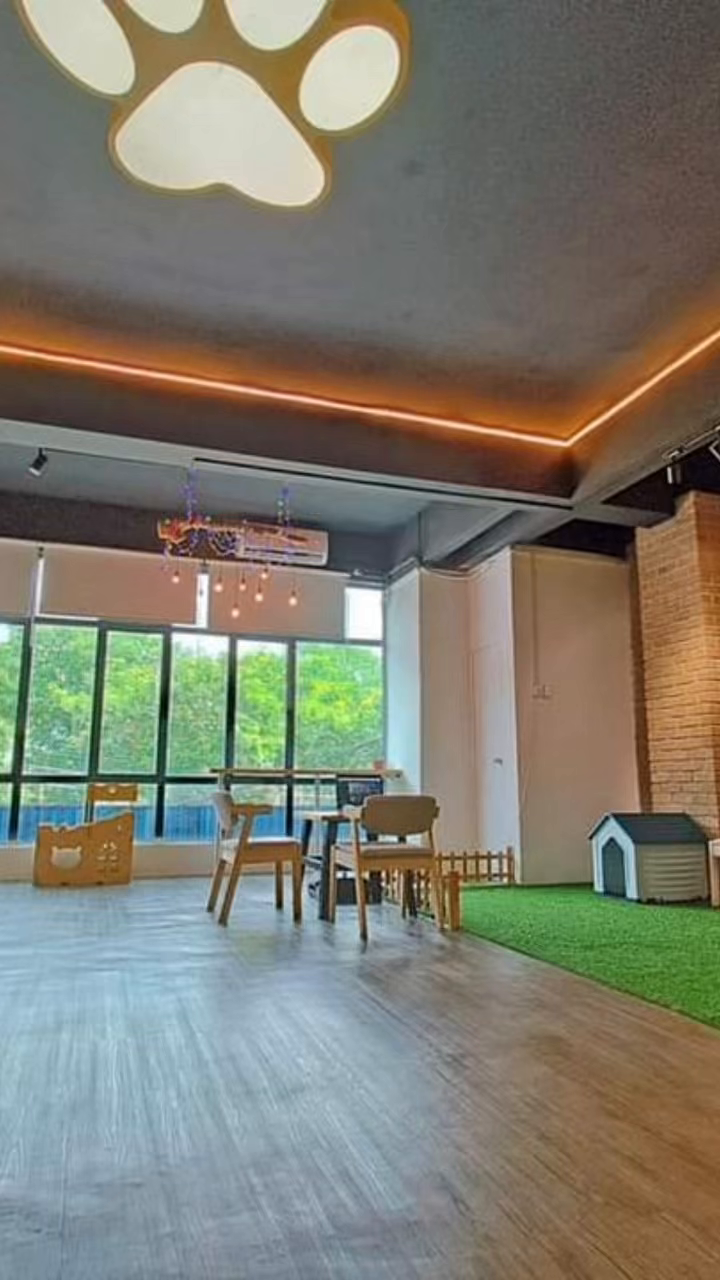Pet Grooming Business for Sale in Ipoh
