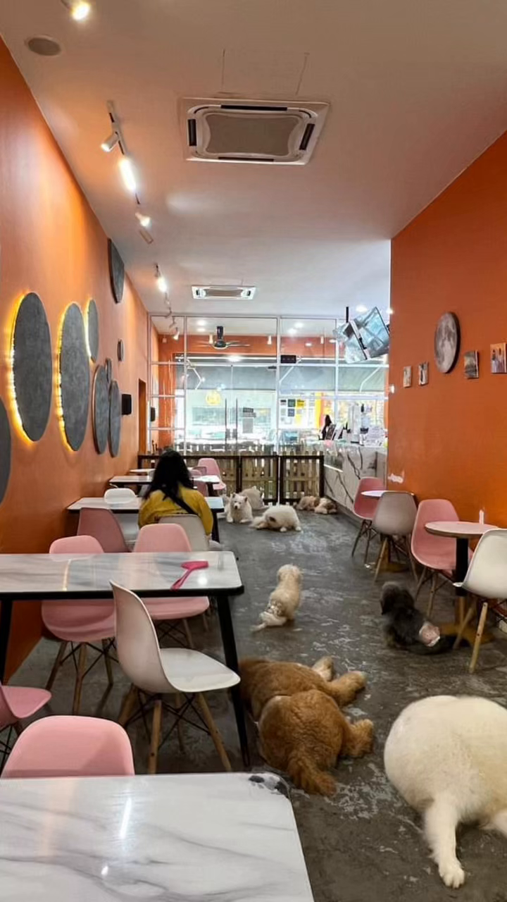Pet-Friendly Café for Sale