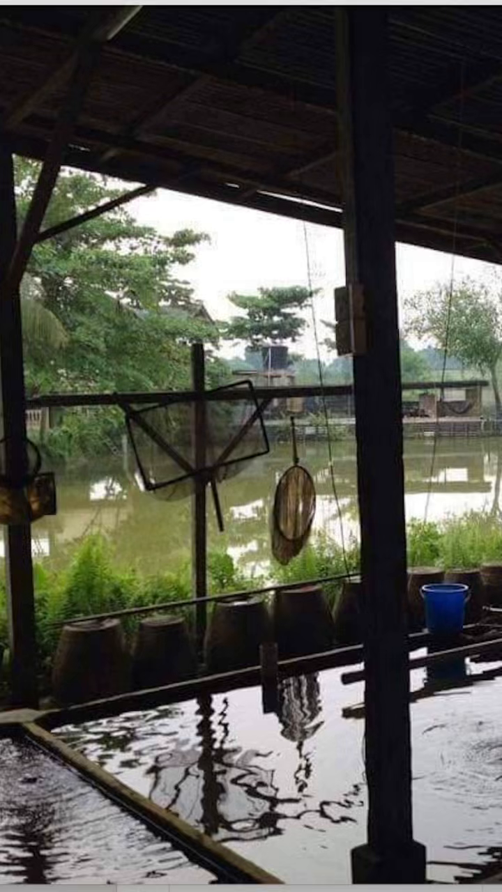 FOR SALE | Fish Farm – Desa Cemerlang, Ulu Tiram